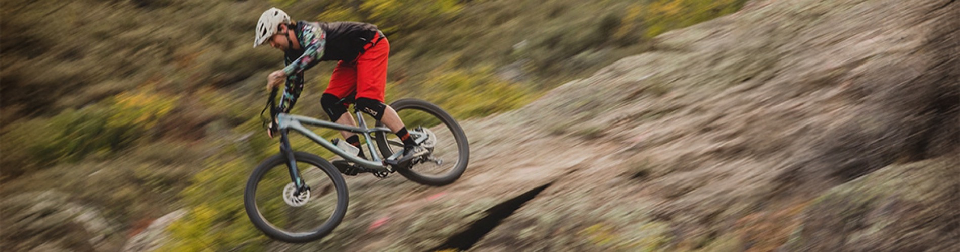bikeplanet