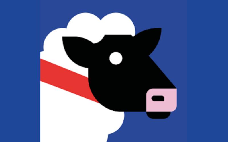 <p>Herman het Schaap sloot zich rond 2015 aan bij de Trek-kudde als ‘Schaap-woordvoerder’ met een wollen baselayer, maar groeide al snel uit tot een volwaardige mascotte. Wat hebben schapen met fietsen te maken? Niet veel, maar we zijn wol… eh, dol op hem.</p>
